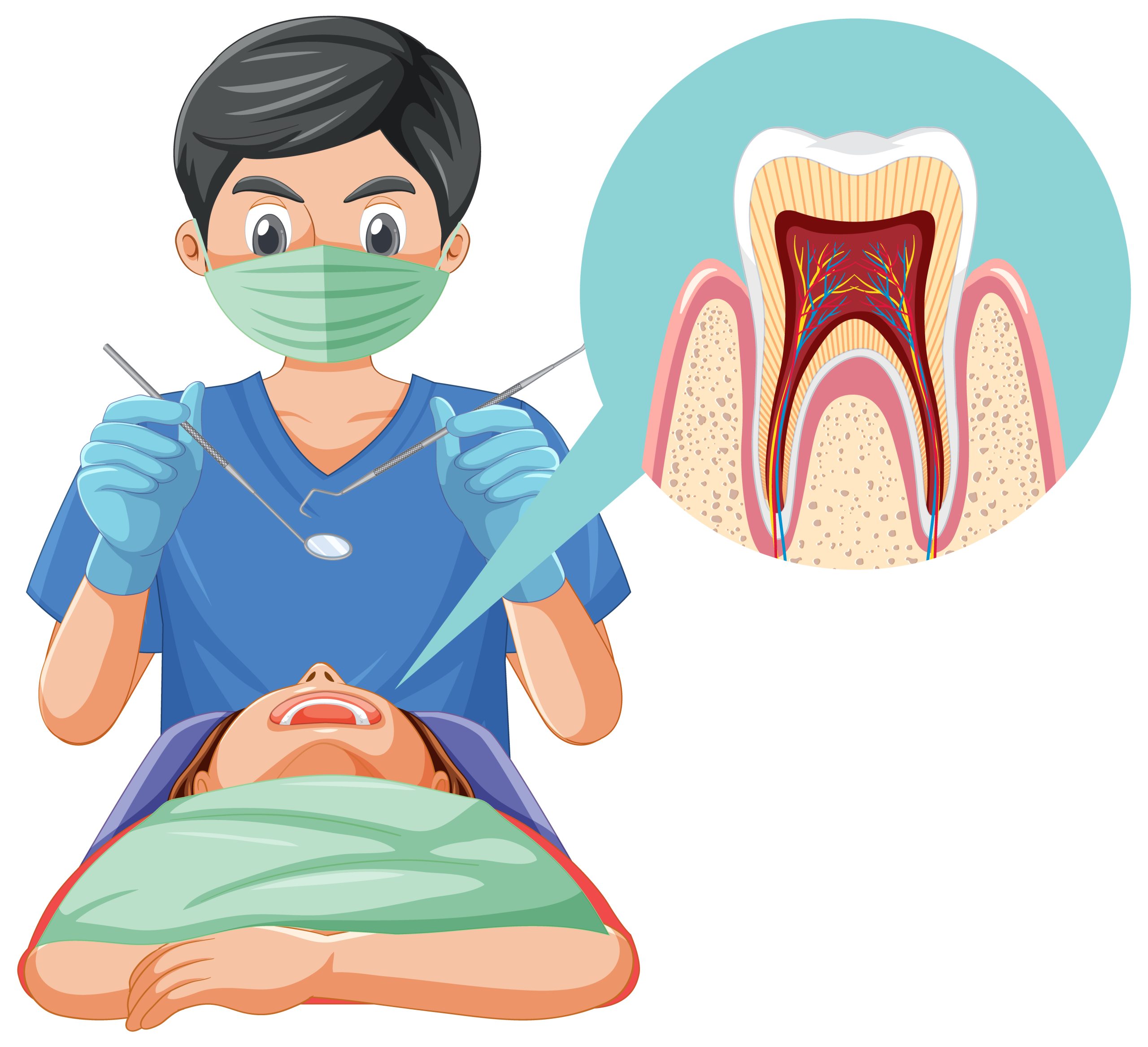 Saving Your Smile—Everything You Need to Know About Root Canals